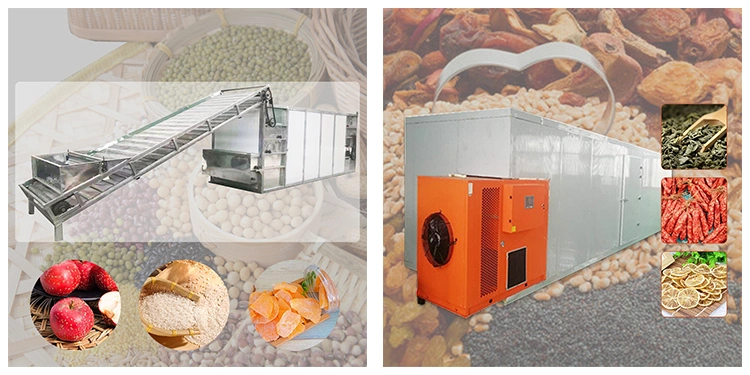 Stainless Steel Dried Fruit Stainless Steel Trays Drying Machine Dehydrator Beef Jerky Drying Machine