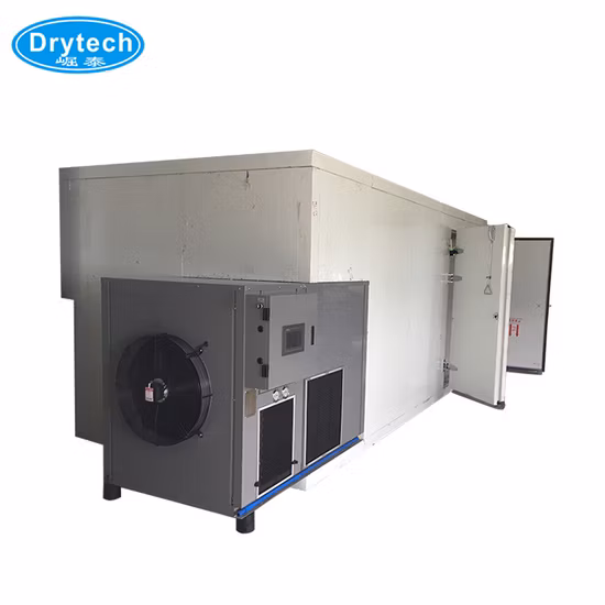 Mango Drying Machine Fruit Dehydrator