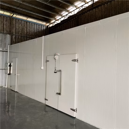 Professional Food Dehydrator Industrial Fruit Drying Machine