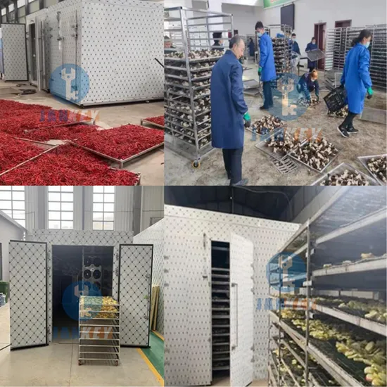 Stainless Steel Industrial Dehydrator for Fish