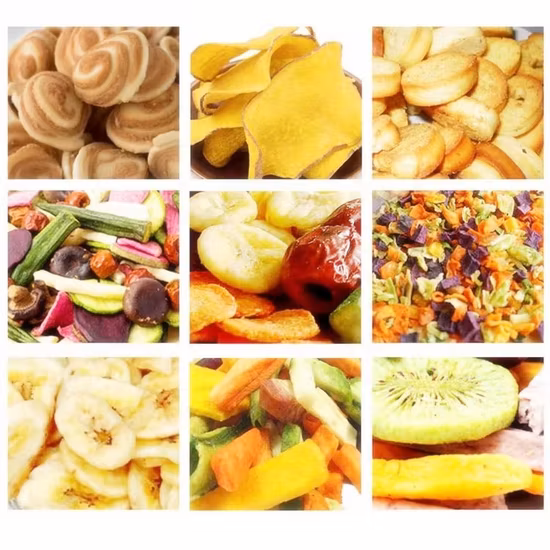 Ginger Stainless Steel Dehydrator Food Fruit Dryer Herbs Commercial Vegetables Dehydration Drying Dehydrator